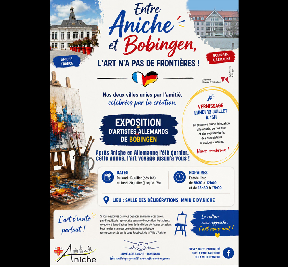 Web Banner Aniche 2026